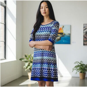 Eliza J Dress Shift Chevron